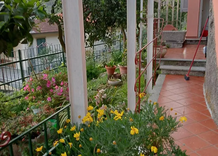 Roses House *