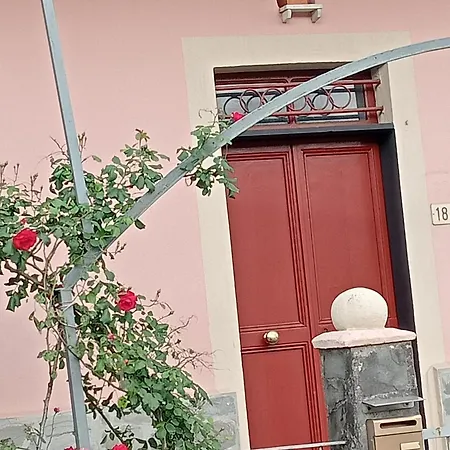 Roses House *