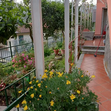 Roses House *