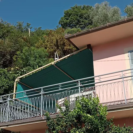 Roses House