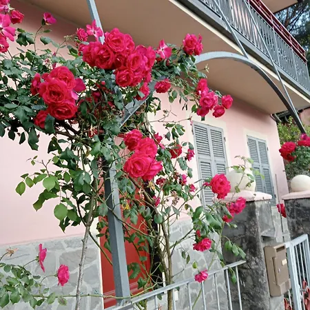 بيت للعطل Roses House سيستري ليفانتي