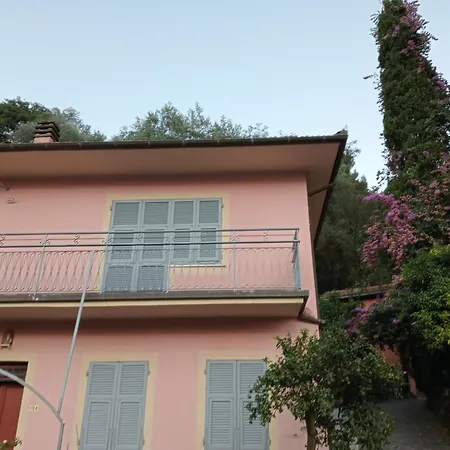 Roses House