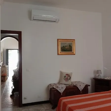 Roses House *
