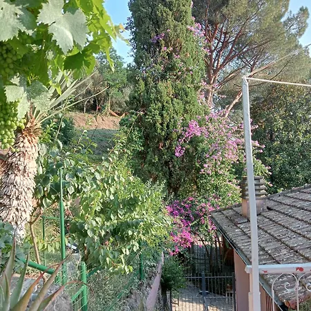 Roses House *
