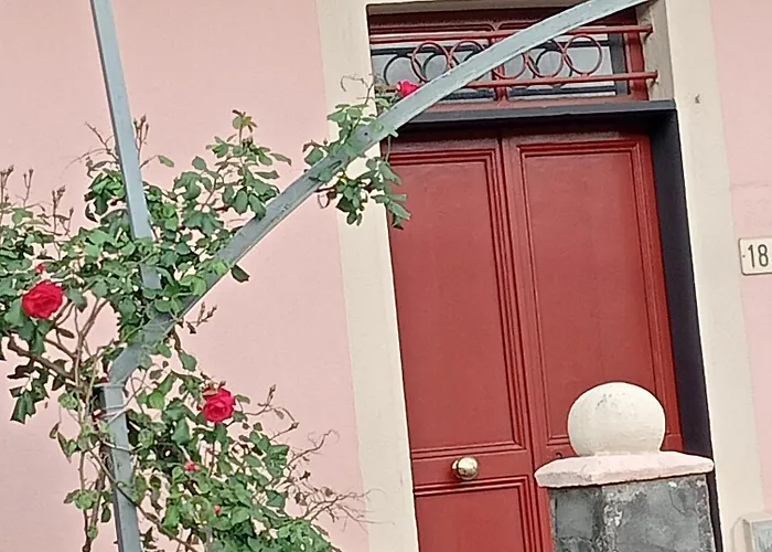 Roses House *