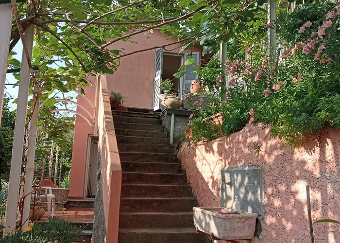 Prázdninový dům Roses House