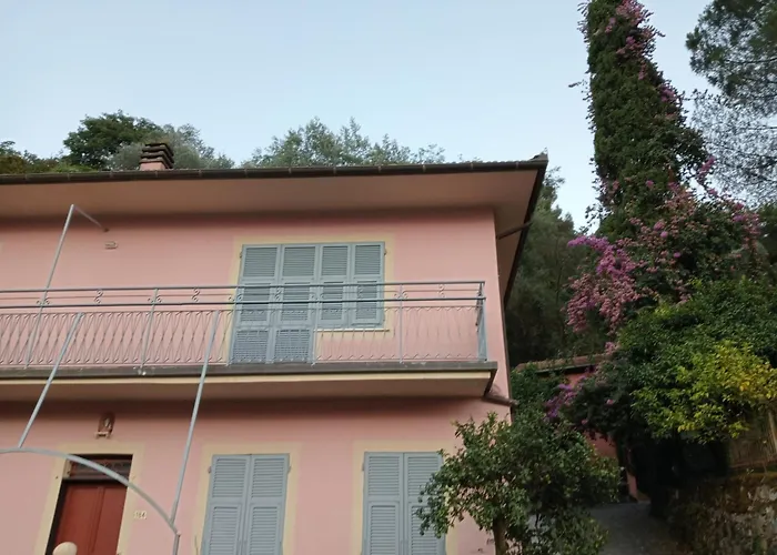 Roses House